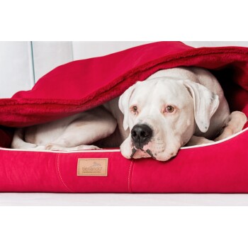 Ein weißer Hund ruht auf einem roten Hundebett, teilweise mit einer passenden Decke bedeckt, mit einem sichtbaren Etikett, das "tierlando" liest.