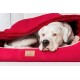 Ein weißer Hund ruht auf einem roten Hundebett, teilweise mit einer passenden Decke bedeckt, mit einem sichtbaren Etikett, das "tierlando" liest.