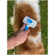 Eine Person verwendet eine blau-weiße Bürste zur Fellpflege an einem Hund, der eine Mischung aus braunem und weißem Haar vor einem grünen, grasigen Hintergrund zeigt.