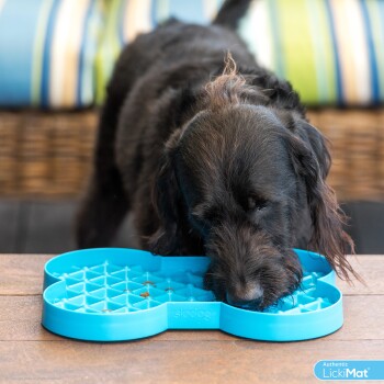 Schwarzer Hund frisst von einem blauen, knochenförmigen LickiMat Slow Feeder auf einem Holztisch.
