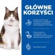 Zabawny puszysty kot z wystawionym językiem obok tekstu o korzyściach z karmy dla kotów: ActivBiome+, prebiotyki i owies dla lepszego zdrowia.