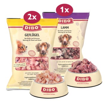 Frostfutter Geflügel & Lamm Bundle