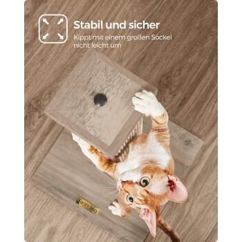 Eine verspielte orange Katze klettert auf einen stabilen Kratzbaum mit einem Holzsockel und einem Seilabschnitt, mit dem Text "Stabil und sicher" darüber.