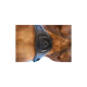 Nahaufnahme der Seite eines braunen Pferdes mit einem schwarzen Ledersattelgurt, der eine Metall-Schnalle und ein geprägtes Logo aufweist.