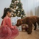 Adventskalender für Hunde 2024