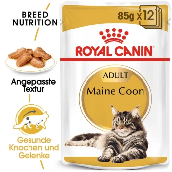 Maine Coon Adult in Soße 12x85 g Royal Canin Adult Maine Coon Katzenfutterverpackung mit einer Maine Coon Katze, mit Text, der die Ernährungsbedürfnisse der Rasse und die Vorteile für die Gelenkgesundheit hervorhebt.
