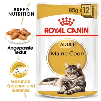 Royal Canin Adult Maine Coon Katzenfutterverpackung mit einer Maine Coon Katze, mit Text, der die Ernährungsbedürfnisse der Rasse und die Vorteile für die Gelenkgesundheit hervorhebt.
