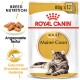 Maine Coon Adult in Soße 12x85 g