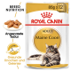 Royal Canin Adult Maine Coon Katzenfutterverpackung mit einer Maine Coon Katze, mit Text, der die Ernährungsbedürfnisse der Rasse und die Vorteile für die Gelenkgesundheit hervorhebt.