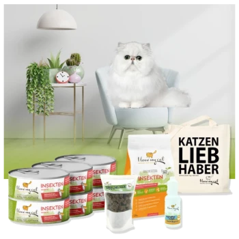Eine flauschige weiße Katze sitzt in einem hellblauen Stuhl, umgeben von Dosen mit Haustierfutter, einem Trockenfutterbeutel, Leckerlis, einer Ergänzungsflasche und einer Tragetasche.