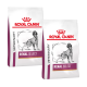 Zwei Beutel Royal Canin Veterinary Renal Select Hundefutter, mit einer Silhouette eines Hundes und dem Markenlogo deutlich sichtbar.