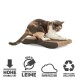 Eine dreifarbige Katze kratzt an einem gebogenen Kartonpad mit deutschen Symbolen für Stabilität, ungiftigen Kleber, umweltfreundliche Produktion und Recyclingfähigkeit.