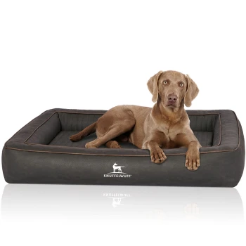Orthopädisches Hundebett aus Laser gestepptem Kunstleder Montego schwarz XL Ein brauner Hund liegt auf einem plüschigen, dunkelgrauen Hundebett mit gesticktem Rand, das das Logo "KNUFFELWUFF" zeigt.