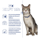 Eine gesunde Katze mit einem blauen Halsband neben Text über Nierengesundheit, Unterstützung des Mikrobioms und Erhalt der Muskelmasse.