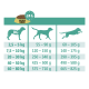 Fütterungsanleitung für Select Gold Hundefutter, die empfohlene Tagesmengen basierend auf Gewichtskategorien von Hunden von 2,5 kg bis 80 kg zeigt.
