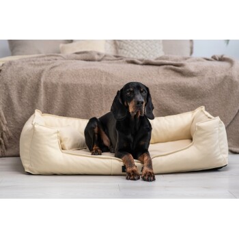 Ein schwarz-brauner Hund, der auf einem cremefarbenen Haustierbett entspannt, mit einer gemütlichen Decke im Hintergrund.