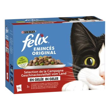 Verpackung von Purina Felix Original Katzenfutter mit dem Gesicht einer schwarz-weißen Katze, mit einer Schüssel Fleisch in Gelee und Text in mehreren Sprachen.