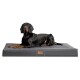 Ein schwarz-brauner Hund liegt bequem auf einem großen grauen Haustierbett mit einem Lederetikett, auf dem "Pet Brand" steht.
