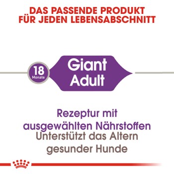 Giant Adult 2x15 kg