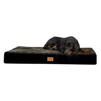 Ein schwarzer und brauner Dobermann, der auf einem plüschigen Hundebett mit einer strukturierten grauen Oberseite und einer schwarzen Seite liegt, mit einem kleinen Logo-Patch.