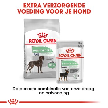 Verpakking van Royal Canin Digestive Care hondenvoer, met een grote zak gelabeld 'MAXI' en een kleinere zak, met tekst die verbeterde ontlastingkwaliteit promoot.