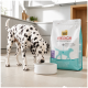 Dalmatiner trinkt aus einer weißen Schüssel neben einem Beutel Select Gold Medica Veterinary Diet hypoallergenes Hundefutter in der Küche.