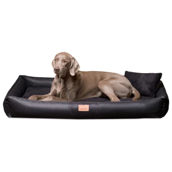 CLIFFORD SOFT orthopädisches Hundebett schwarz 85 cm, 16 cm, 60 cm Ein großer, hellbrauner Hund liegt auf einem stilvollen schwarzen Haustierbett mit plüschigem Innenraum und einem kleinen Kissen, mit einem Lederetikett.