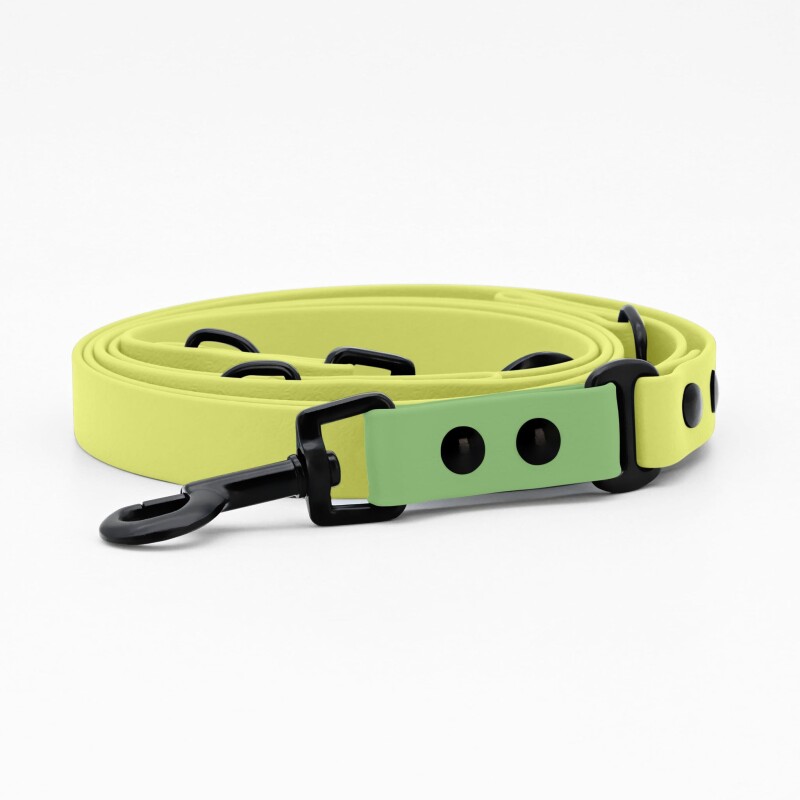 THE DOG IDEA Biothane Hundeleine Lemon M