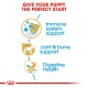 Infographic titled "Give Your Puppy the Perfect Start" featuring icons for immune system support, joint & bone support, and digestive health.