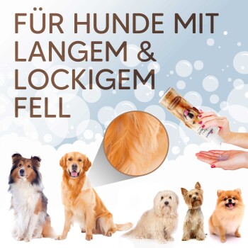 Shampoo für Hunde mit langem und lockigem Fell, mit einer Hand, die das Produkt hält, und Bildern verschiedener Hunderassen.