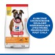 Science Plan Adult Light Medium z kurczakiem 2x14 kg
