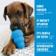 Brown dog chewing blue KONG toy; blue panel reads "KONG RUBBER", "IT DOESN'T SPLINTER", "IT'S GENTLE ON TEETH", "ENTHUSIASTIC CHEWERS!"