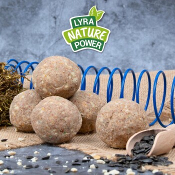 Fünf natürliche Haustierfutterbälle auf Jute, mit einem blauen Spiralspielzeug im Hintergrund und "LYRA NATURE POWER" darüber.