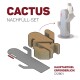 Illustration eines Nachfüllsets für einen Kaktus-Kratzbaum mit einer Katze und detaillierten Nachfüllungen. Text: "CACTUS NACHFÜLL-SET" und "HAUPTARTIKEL ERFORDERLICH!"