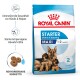 Royal Canin Starter Mother & Babydog Maxi Hundefutterbeutel, mit einer Mutterhündin und drei Welpen, hebt die Gesundheitsunterstützung für Mütter und Welpen hervor.