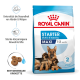 Royal Canin Starter Mother & Babydog Maxi Hundefutterbeutel, mit einer Mutterhündin und drei Welpen, hebt die Gesundheitsunterstützung für Mütter und Welpen hervor.