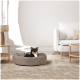 Ein kleiner schwarz-brauner Hund sitzt bequem in einem runden, grauen Haustierbett auf einem hellen Teppich, mit einem modernen Wohnzimmer im Hintergrund.
