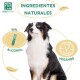 Ein schwarz-weißer Hund sitzt stolz, umgeben von Texten, die "Ingredientes Naturales", "Sin Alcohol" und "Vegan Friendly" hervorheben.