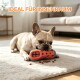 Französische Bulldogge kaut an einem orangefarbenen Leckerli-Spielzeug auf einem Teppich mit Trockenfutter; sichtbarer Text 'IDEAL FÜR INNENRAUM'.