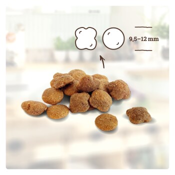 Haufen brauner Haustier-Krokettenstücke, jeweils 8-10 mm groß, gezeigt mit Größenillustration und Maßangabe.