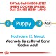 Cocker Puppy 3kg