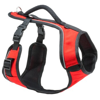EasySport Hundegeschirr rot M