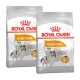 Zwei Säcke Royal Canin Coat Care Hundefutter für Mini-Rassen, das ein gesundes und glänzendes Fell fördert, mit einer Ergebnisaussage in 28 Tagen.