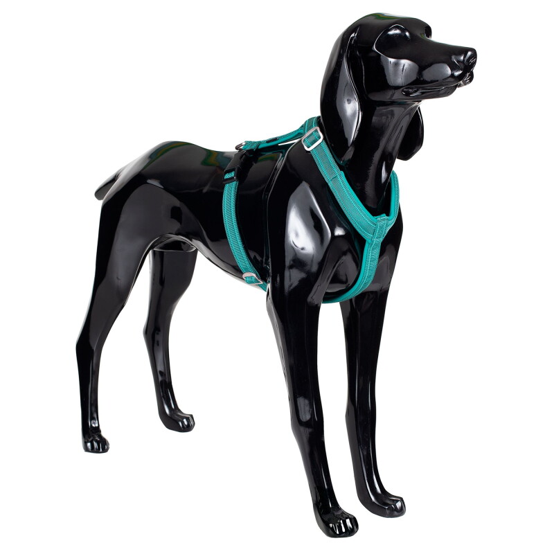 Paikka Easy Harness emerald grün/ türkis XXS