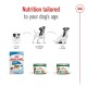 Image of Royal Canin dog food for puppy, adult, and senior dogs. Text: "Nutrition tailored to your dog's age."