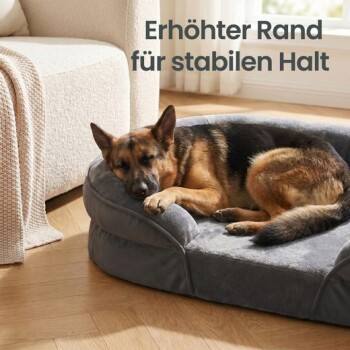 Deutscher Schäfer schläft auf einem grauen Hundebett mit erhöhtem Rand neben einem Sofa; sichtbarer Text 'Erhöhter Rand für stabilen Halt'