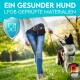 Eine Frau in einem weißen Oberteil und Jeans führt einen schwarz-weißen Hund in einem sonnigen Park aus. Text: "Ein gesunder Hund" und "LFGB geprüfte Materialien."