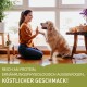 Eine Frau interagiert mit einem Golden Retriever an einem Fenster mit Pflanzen und Kürbissen. Text: "REICH AN PROTEIN, ERNÄHRUNGSPHYSIOLOGISCH AUSGEWOGEN!"