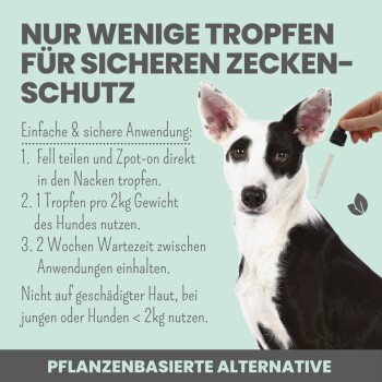 Ein fokussierter schwarz-weißer Hund neben einer Tropfflasche. Der deutsche Text lautet: "Wenige Tropfen für sicheren Zeckenschutz" mit Anwendungshinweisen.