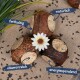 Drei strukturierte Haustierleckerlis in einem Dreieck, gekrönt mit einer weißen Blume, beschriftet mit "natürlich," "fetthaltig," "vitaminreich," "energiespendend."